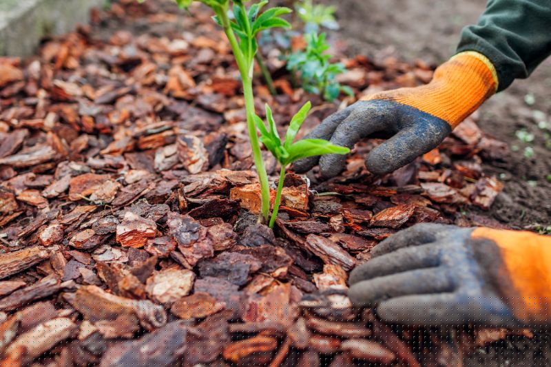 Bark Mulch Installation