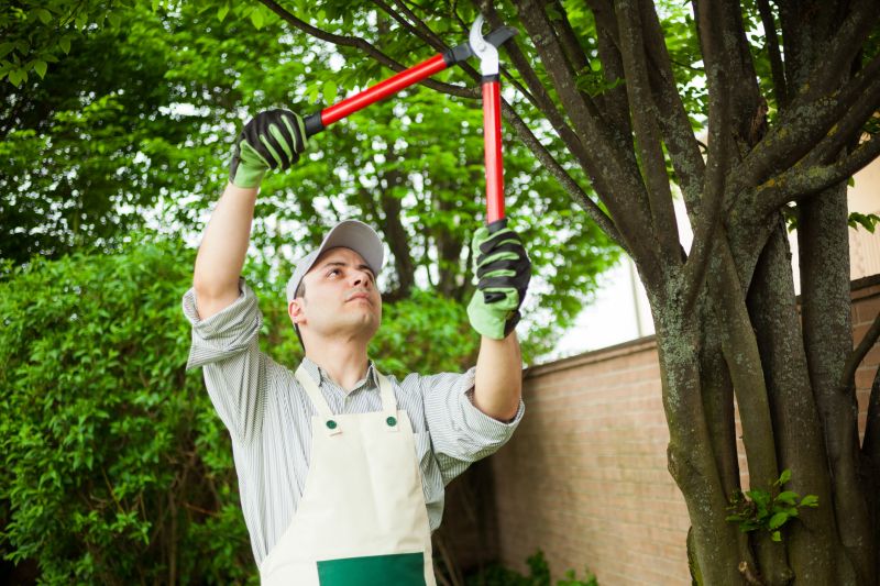 Specialized Tree and Plant Care