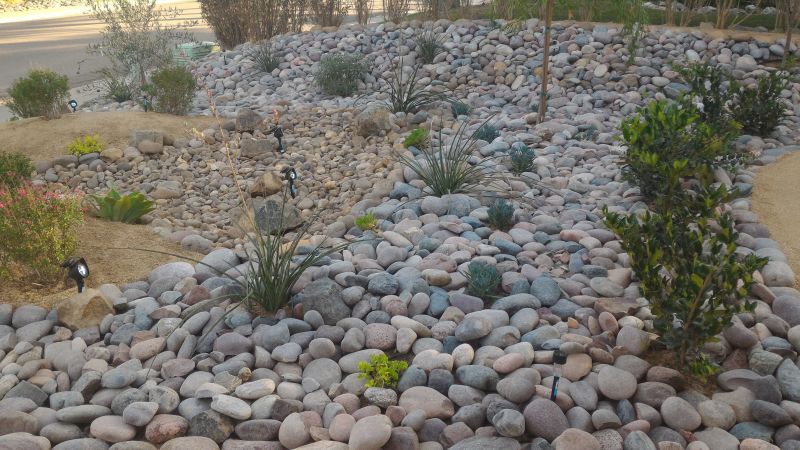 Xeriscape Landscaping