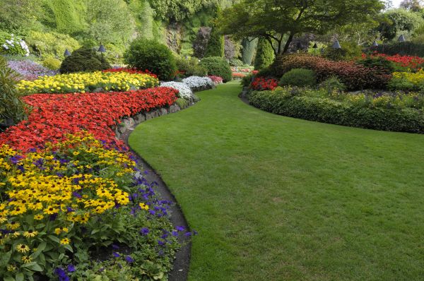Landscaping Maintenance in Boston