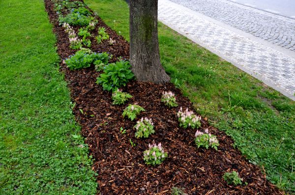 Mulch Replacement Service in Boston