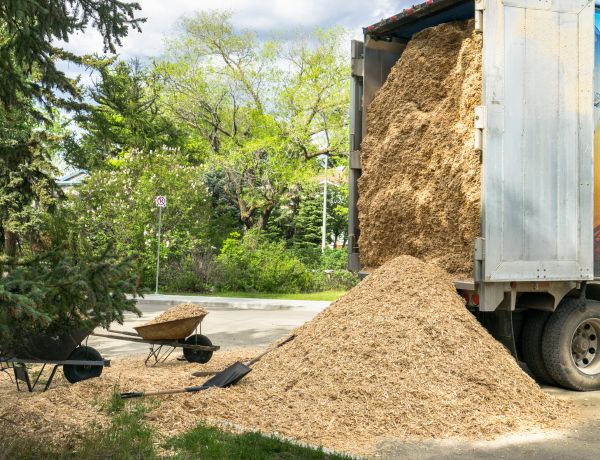 Wood Chips Delivery in Boston