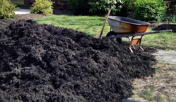 Black Mulch Delivery in Boston