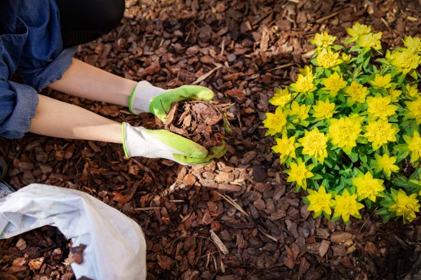 Garden Mulching in Boston