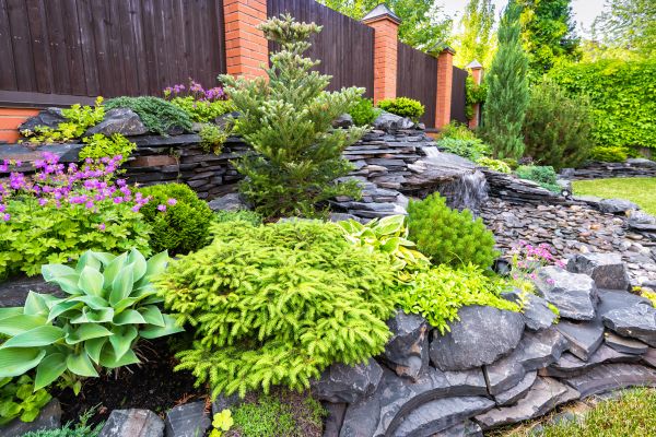 Landscape Remodeling in Boston