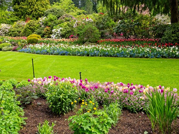 Residential Landscape Design in Boston