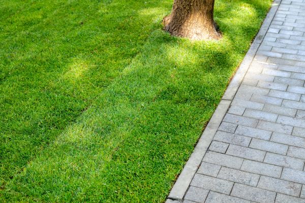 Border Stone Installation in Boston