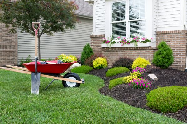 Tree And Shrub Planting in Boston