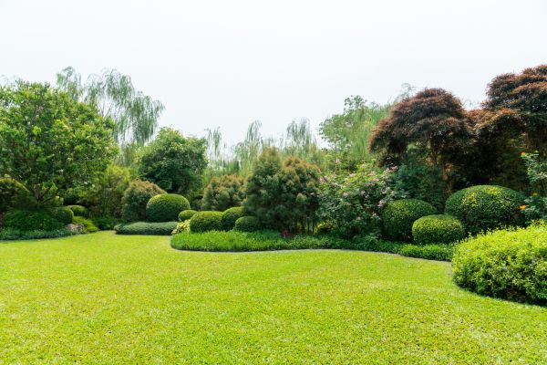 Tree Landscaping in Boston