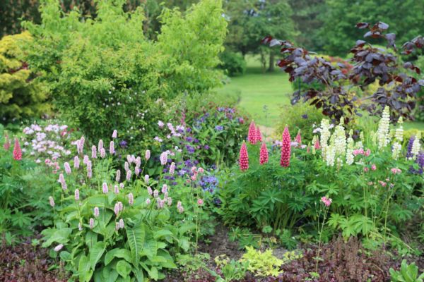 Flower Bed Planting in Boston