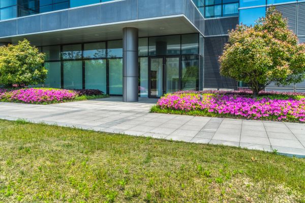 Commercial Gardening in Boston