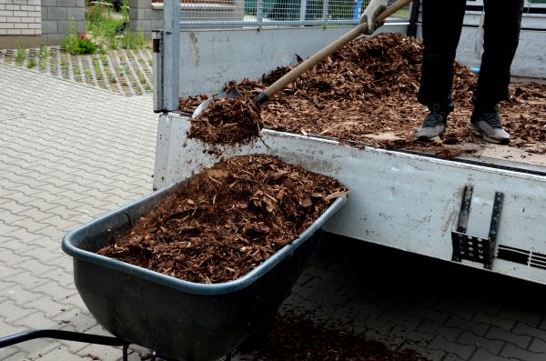 Cypress Mulch Delivery in Boston