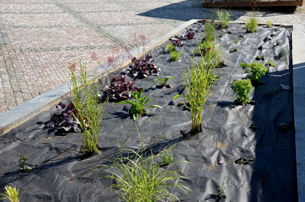 Landscape Fabric Installation in Boston
