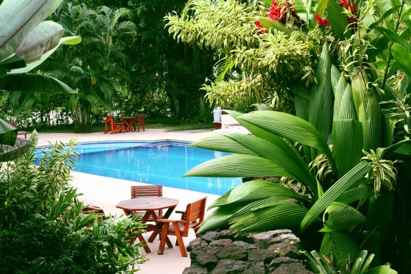 Pool Area Landscaping in Boston