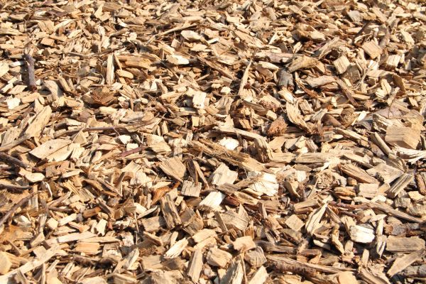 Wood Mulch Delivery in Boston