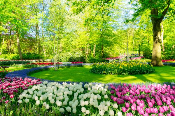 Flower Landscaping in Boston