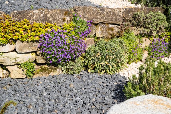 Landscaping Rocks Installation in Boston