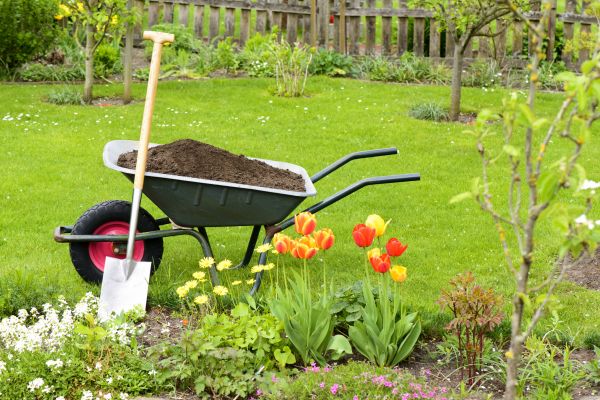 Spring Yard Renovation in Boston